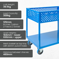 2 Tier Steel Single Basket Trolley