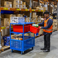 2 Tier Trolley with Bottom Basket