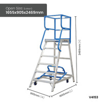 Access Platform Ladders