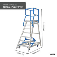 Access Platform Ladders