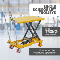 Scissor Lift Trolley 450x700mm (150kg capacity) - Single Scissor