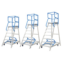 Access Platform Ladders