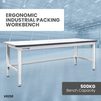 Ergonomic Industrial Packing Work Bench