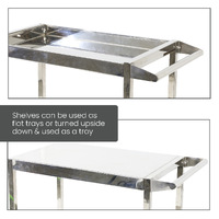 Stainless Steel 2 & 3 Tier Trolleys