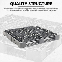 Standard Plastic Export Pallet - 2 Way Entry