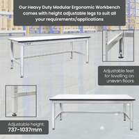 Ergonomic Industrial Packing Work Bench