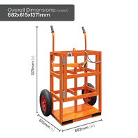 Gas Cylinder Trolley Cage