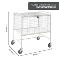 Mesh Trolley With Folding Lid