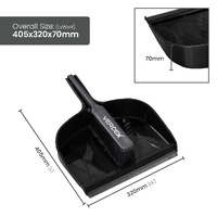 Large Dustpan with Brush