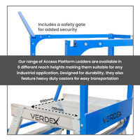 Access Platform Ladders