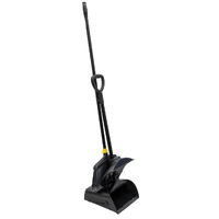 Large Dustpan and Broom Set