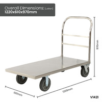 Stainless Steel Platform Trolleys