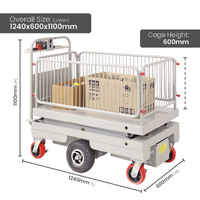 Self Propelled Electric Scissor Lift Trolley (with cage)