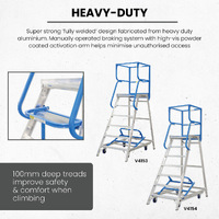 Access Platform Ladders