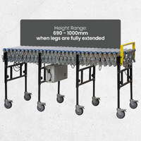 Electric Expanding Roller Conveyors