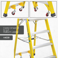 Fibreglass Industrial Platform Ladders