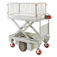 Self Propelled Electric Scissor Lift Trolley (with cage)