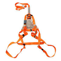 Full Body Safety Harness