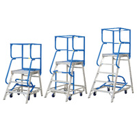 Access Platform Ladders