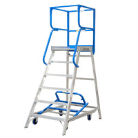 Access Platform Ladder - 6 Step