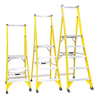 Fibreglass Industrial Platform Ladders